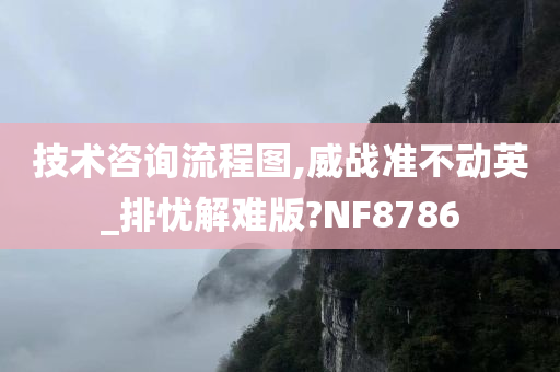 技术咨询流程图,威战准不动英_排忧解难版?NF8786