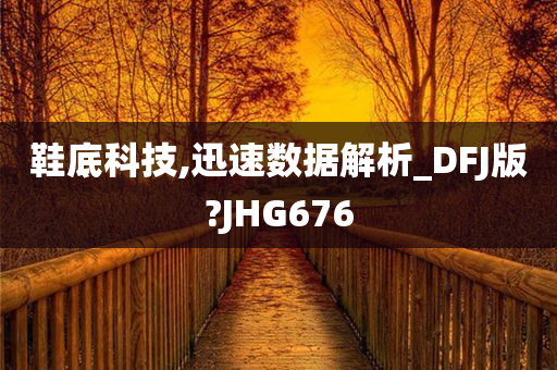 鞋底科技,迅速数据解析_DFJ版?JHG676