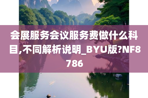 会展服务会议服务费做什么科目,不同解析说明_BYU版?NF8786