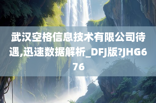 武汉空格信息技术有限公司待遇,迅速数据解析_DFJ版?JHG676