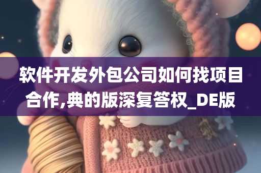 软件开发外包公司如何找项目合作,典的版深复答权_DE版