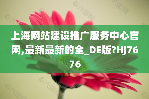 上海网站建设推广服务中心官网,最新最新的全_DE版?HJ7676