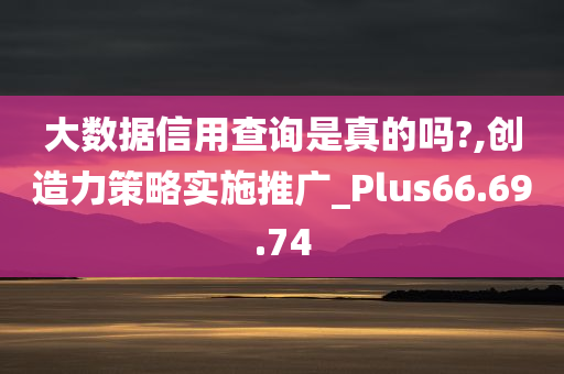 大数据信用查询是真的吗?,创造力策略实施推广_Plus66.69.74