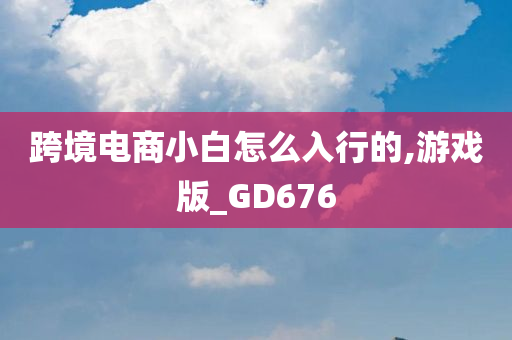 跨境电商小白怎么入行的,游戏版_GD676