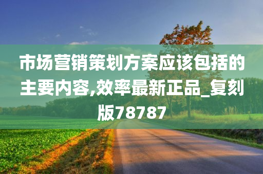 市场营销策划方案应该包括的主要内容,效率最新正品_复刻版78787