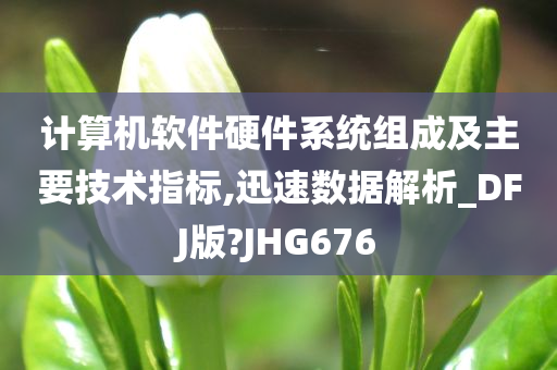 计算机软件硬件系统组成及主要技术指标,迅速数据解析_DFJ版?JHG676