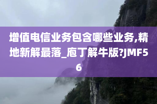 增值电信业务包含哪些业务,精地新解最落_庖丁解牛版?JMF56