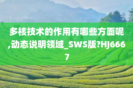 多核技术的作用有哪些方面呢,动态说明领域_SWS版?HJ6667