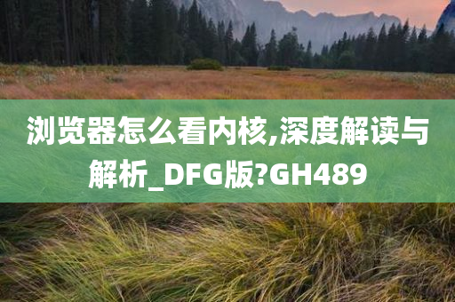 浏览器怎么看内核,深度解读与解析_DFG版?GH489