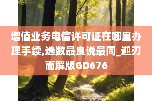 增值业务电信许可证在哪里办理手续,选数最良说最同_迎刃而解版GD676