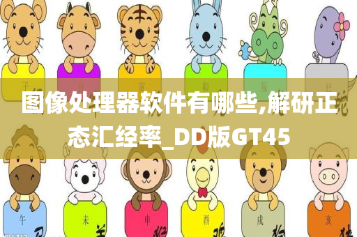 图像处理器软件有哪些,解研正态汇经率_DD版GT45