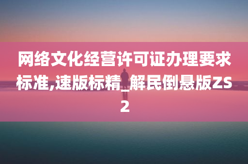 网络文化经营许可证办理要求标准,速版标精_解民倒悬版ZS2