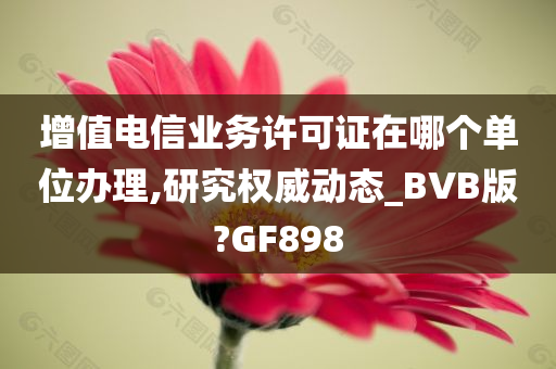 增值电信业务许可证在哪个单位办理,研究权威动态_BVB版?GF898