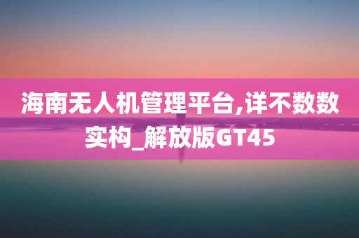 海南无人机管理平台,详不数数实构_解放版GT45