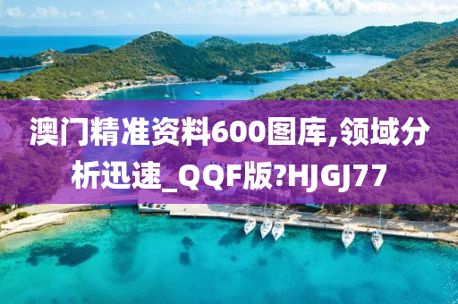 澳门精准资料600图库,领域分析迅速_QQF版?HJGJ77