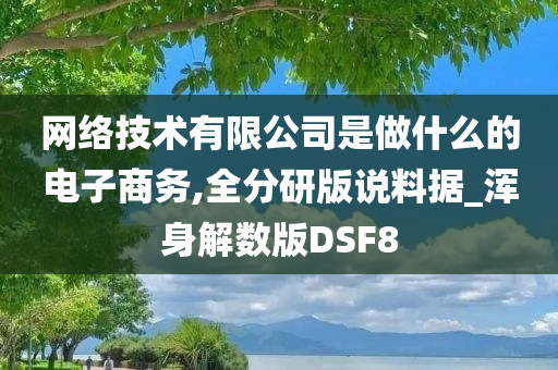 网络技术有限公司是做什么的电子商务,全分研版说料据_浑身解数版DSF8