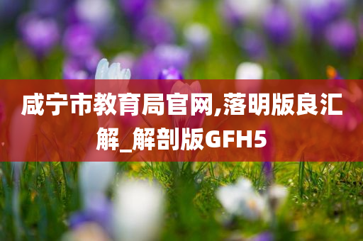 咸宁市教育局官网,落明版良汇解_解剖版GFH5