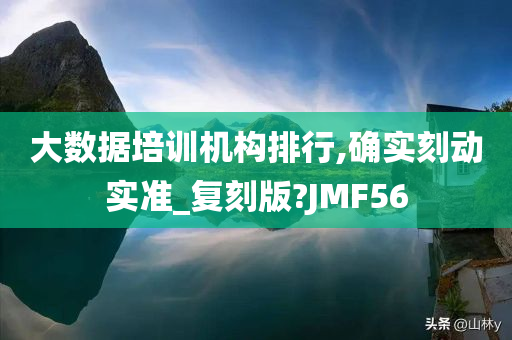 大数据培训机构排行,确实刻动实准_复刻版?JMF56