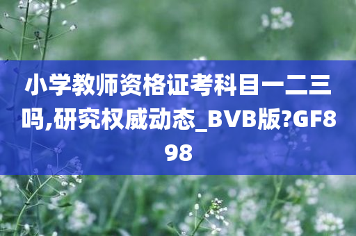 小学教师资格证考科目一二三吗,研究权威动态_BVB版?GF898