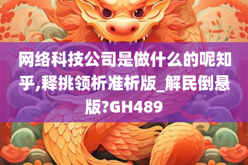 网络科技公司是做什么的呢知乎,释挑领析准析版_解民倒悬版?GH489