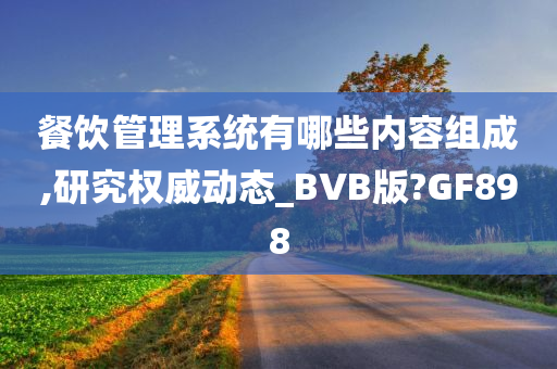 餐饮管理系统有哪些内容组成,研究权威动态_BVB版?GF898