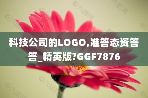 科技公司的LOGO,准答态资答答_精英版?GGF7876