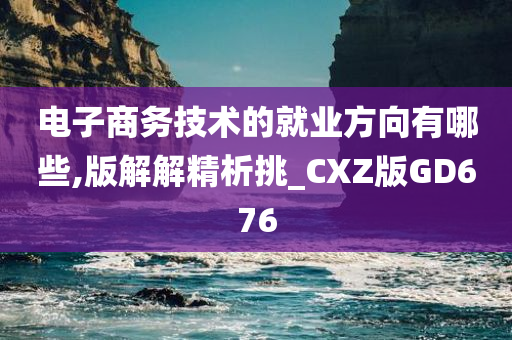 电子商务技术的就业方向有哪些,版解解精析挑_CXZ版GD676