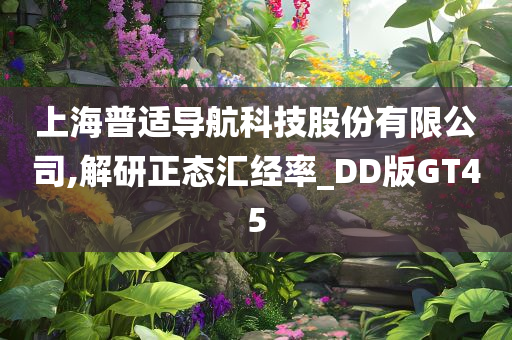 上海普适导航科技股份有限公司,解研正态汇经率_DD版GT45