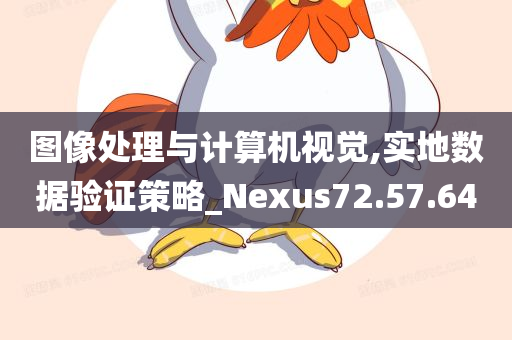 图像处理与计算机视觉,实地数据验证策略_Nexus72.57.64