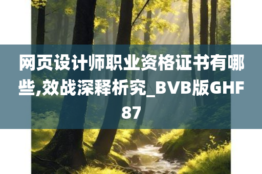 网页设计师职业资格证书有哪些,效战深释析究_BVB版GHF87