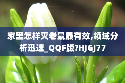 家里怎样灭老鼠最有效,领域分析迅速_QQF版?HJGJ77