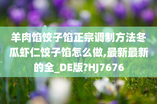 羊肉馅饺子馅正宗调制方法冬瓜虾仁饺子馅怎么做,最新最新的全_DE版?HJ7676