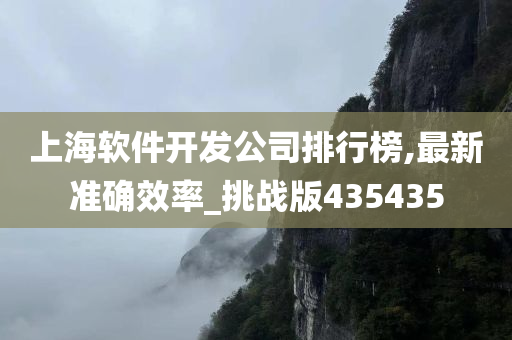 上海软件开发公司排行榜,最新准确效率_挑战版435435