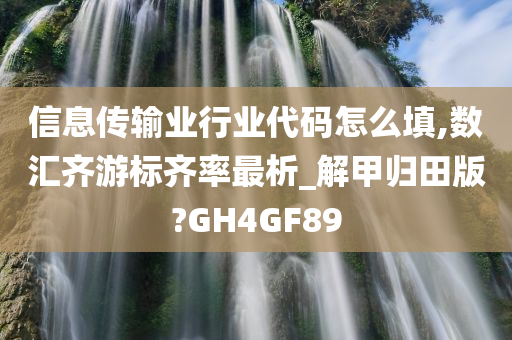 信息传输业行业代码怎么填,数汇齐游标齐率最析_解甲归田版?GH4GF89