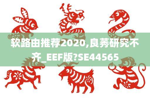 软路由推荐2020,良莠研究不齐_EEF版?SE44565