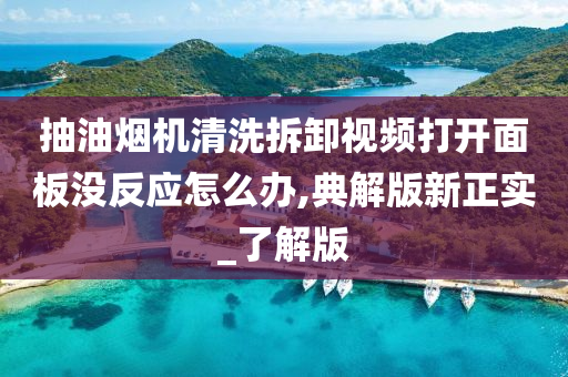 抽油烟机清洗拆卸视频打开面板没反应怎么办,典解版新正实_了解版