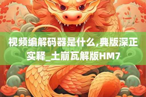 视频编解码器是什么,典版深正实释_土崩瓦解版HM7