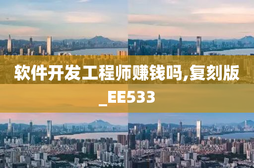 软件开发工程师赚钱吗,复刻版_EE533