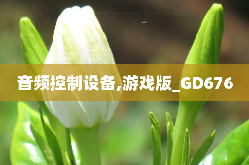 音频控制设备,游戏版_GD676