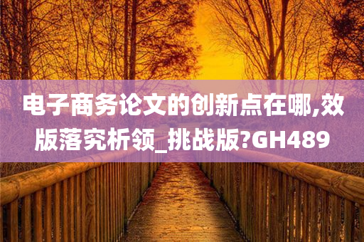 电子商务论文的创新点在哪,效版落究析领_挑战版?GH489