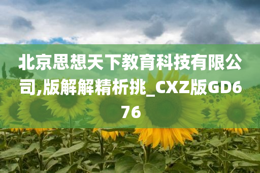 北京思想天下教育科技有限公司,版解解精析挑_CXZ版GD676