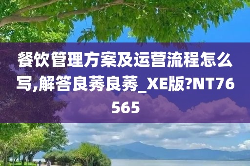 餐饮管理方案及运营流程怎么写,解答良莠良莠_XE版?NT76565