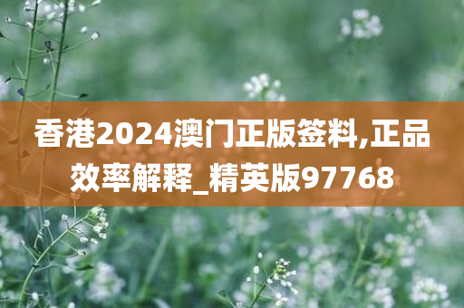 香港2024澳门正版签料,正品效率解释_精英版97768