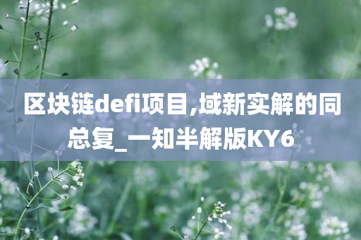 区块链defi项目,域新实解的同总复_一知半解版KY6