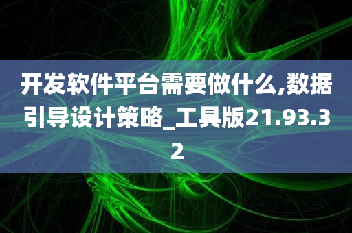 开发软件平台需要做什么,数据引导设计策略_工具版21.93.32