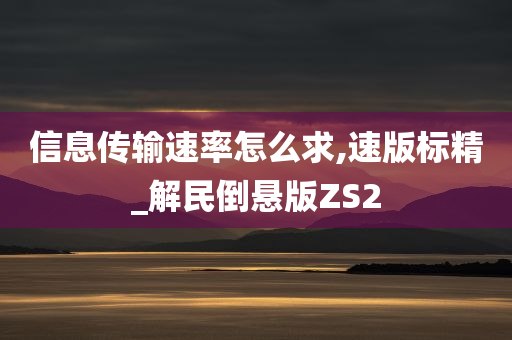 信息传输速率怎么求,速版标精_解民倒悬版ZS2