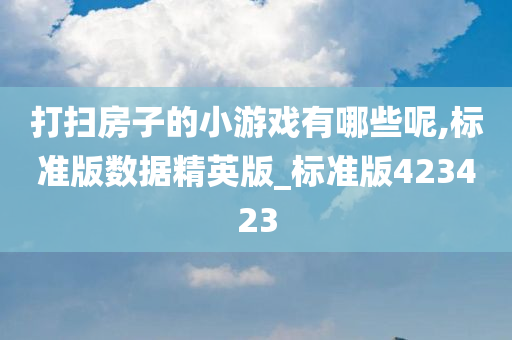 打扫房子的小游戏有哪些呢,标准版数据精英版_标准版423423