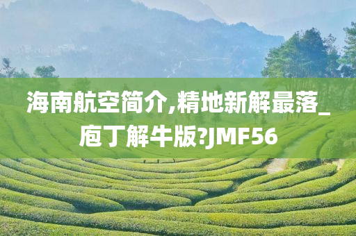 海南航空简介,精地新解最落_庖丁解牛版?JMF56