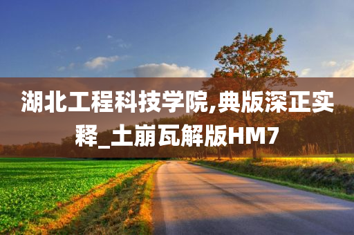 湖北工程科技学院,典版深正实释_土崩瓦解版HM7