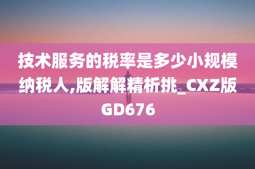 技术服务的税率是多少小规模纳税人,版解解精析挑_CXZ版GD676